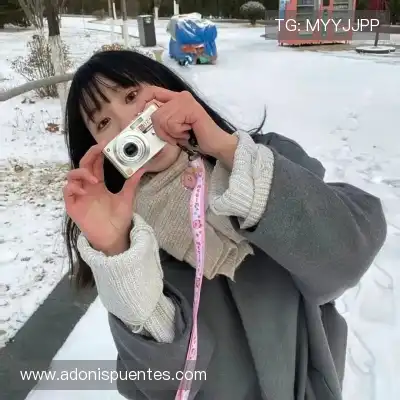 沈辉